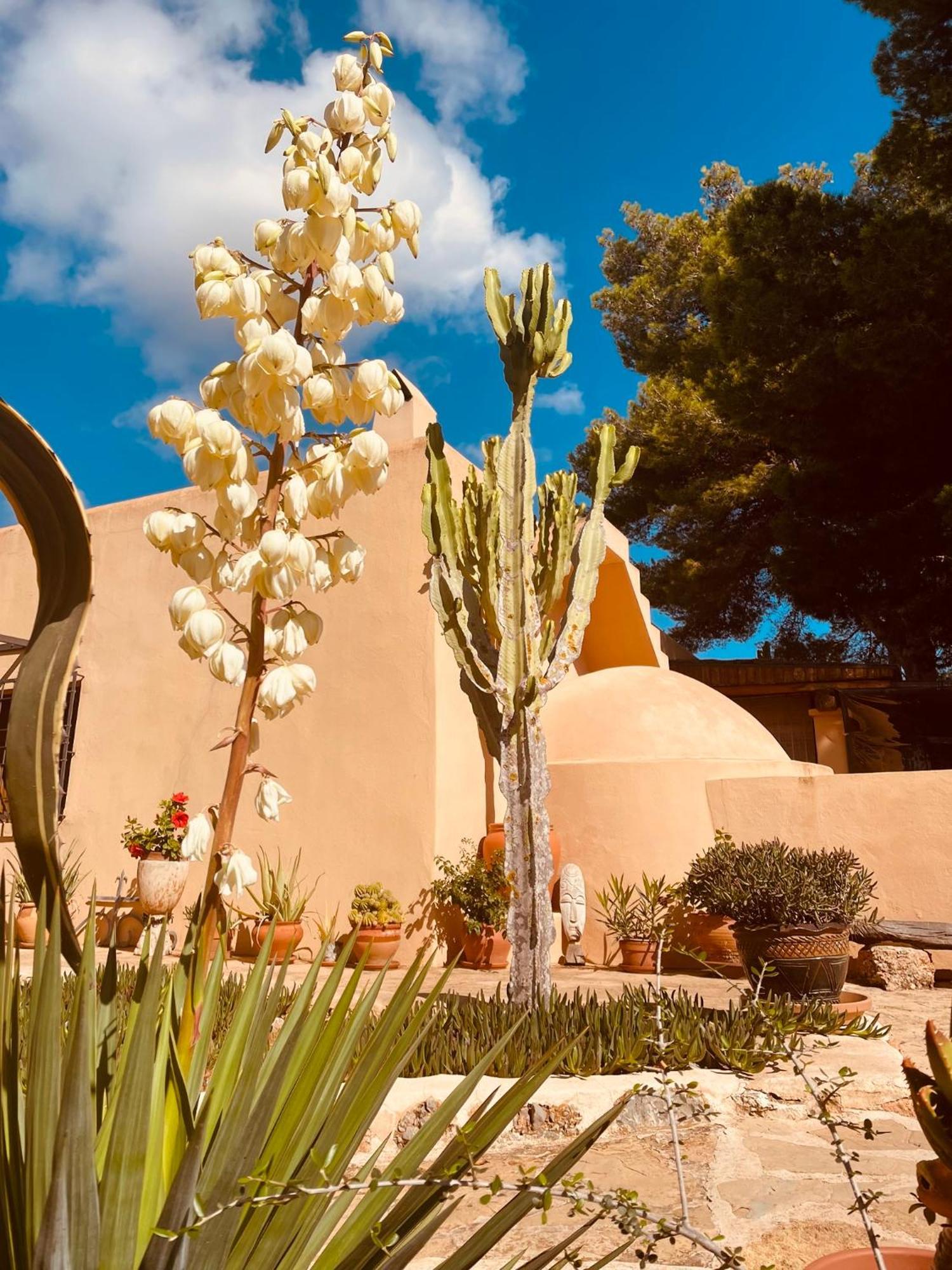 Finca Can Toni Sant Jordi de ses Salines Extérieur photo